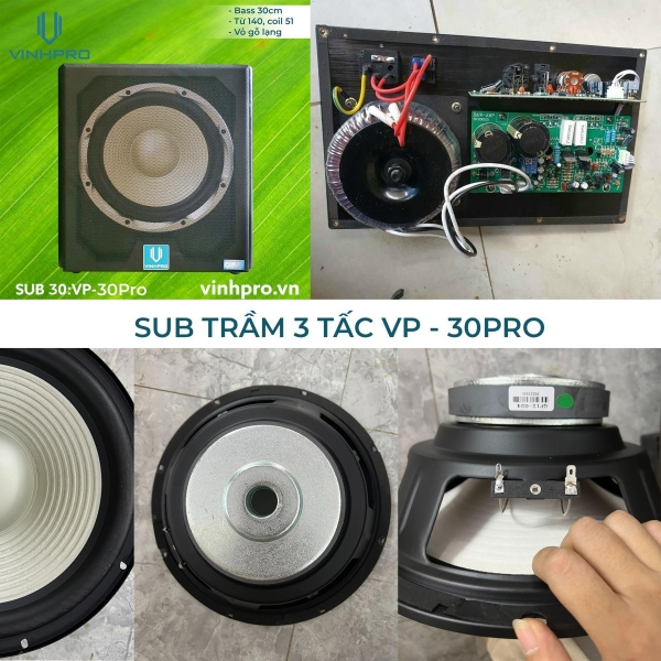 Loa Sub Điện Bass 30 VINHPRO VP-30S