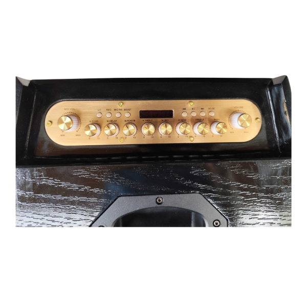 LOA TRỢ GIẢNG/ LOA KÉO VINHPRO SB-M8