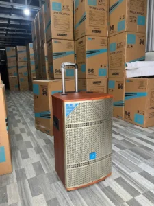 Loa kéo hát karaoke giá rẻ