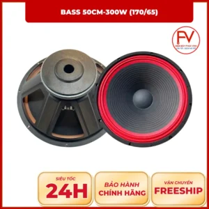 Bass 50cm-300w (170/65)
