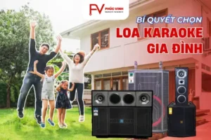 Bí Quyết Chọn Loa Karaoke Gia Đình Hát Hay, Phù Hợp Không Gian Nhà Bạn Loa Karaoke Gia Đình