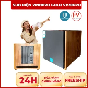 Sub Điện VINHPRO Gold VP30Pro