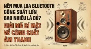 Loa bluetooth công xuất lớn